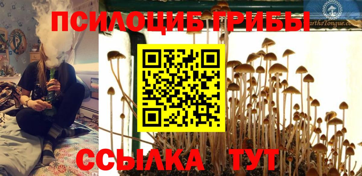 Каменск-Шахтинский  где купить   Вход с VPN  Галлюциногенные грибы Magic Shrooms 