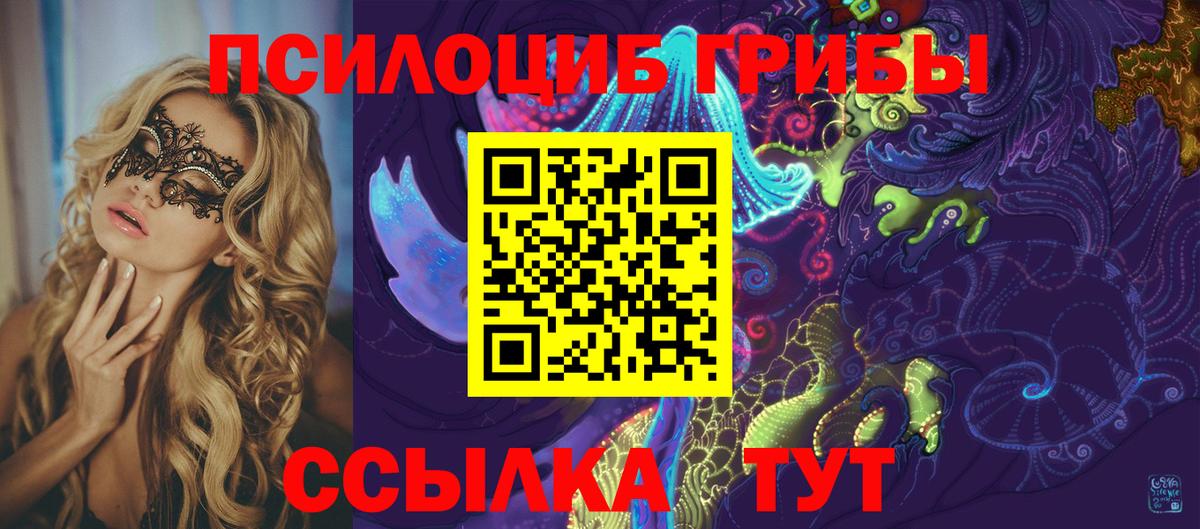 Псилоцибиновые грибы ЛСД Каменск-Шахтинский